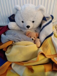 Teddybär © Katharina Licht